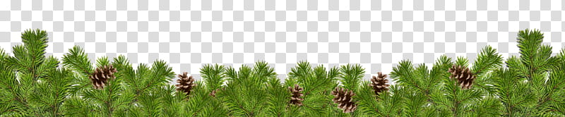Christmas corners, green leaves transparent background PNG clipart