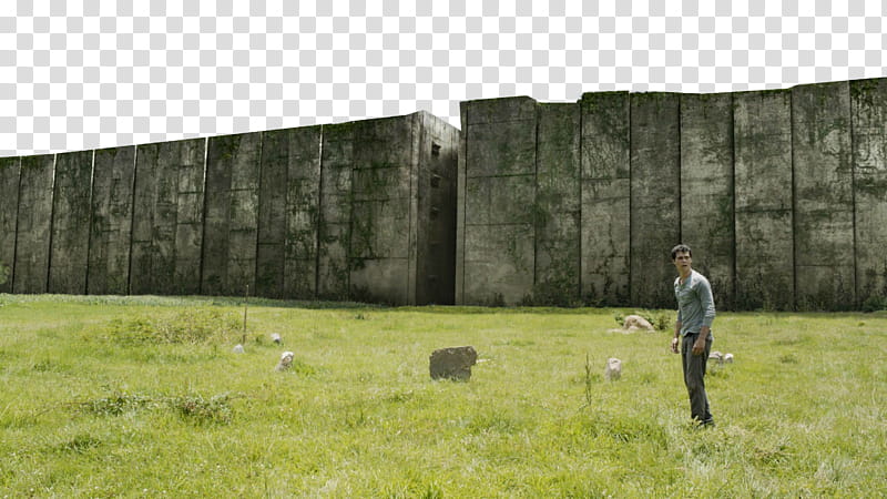 The Maze Runner, Maze Runner movie still screenshot transparent background PNG clipart