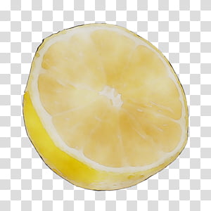 Lemon, Yellow, Citron, Fruit, Food, Plant transparent background PNG clipart thumbnail