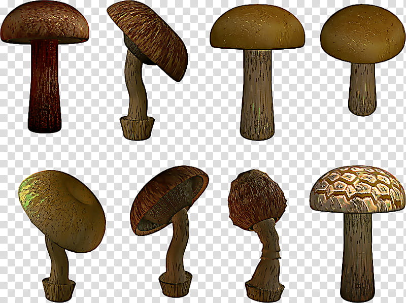 Mushroom, Common Mushroom, Shiitake, Table, Agaricaceae, Agaricus, Edible Mushroom, Bolete transparent background PNG clipart