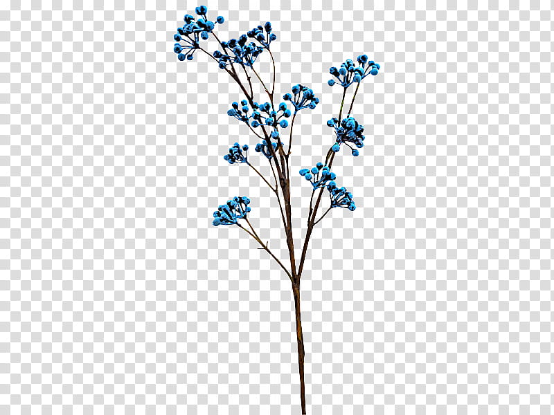 perjury clipart flower