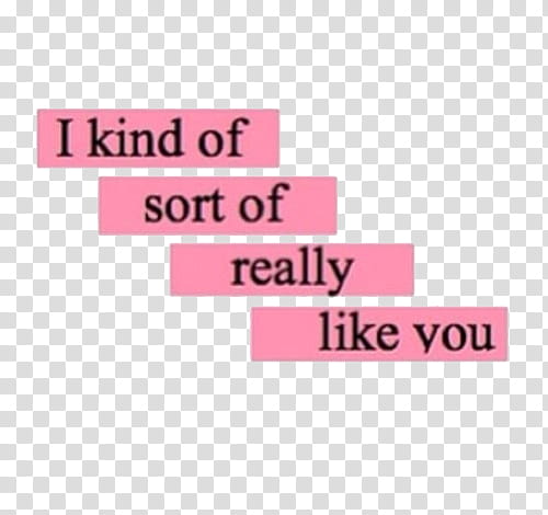 Aesthetic Pink Mega I Kind Of Sort Of Really Like You Text