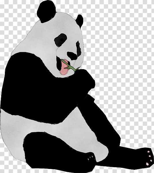 Bear, Giant Panda, Restaurant, Hyattsville, Cooler, Yue Chinese, Maryland, Blackandwhite transparent background PNG clipart