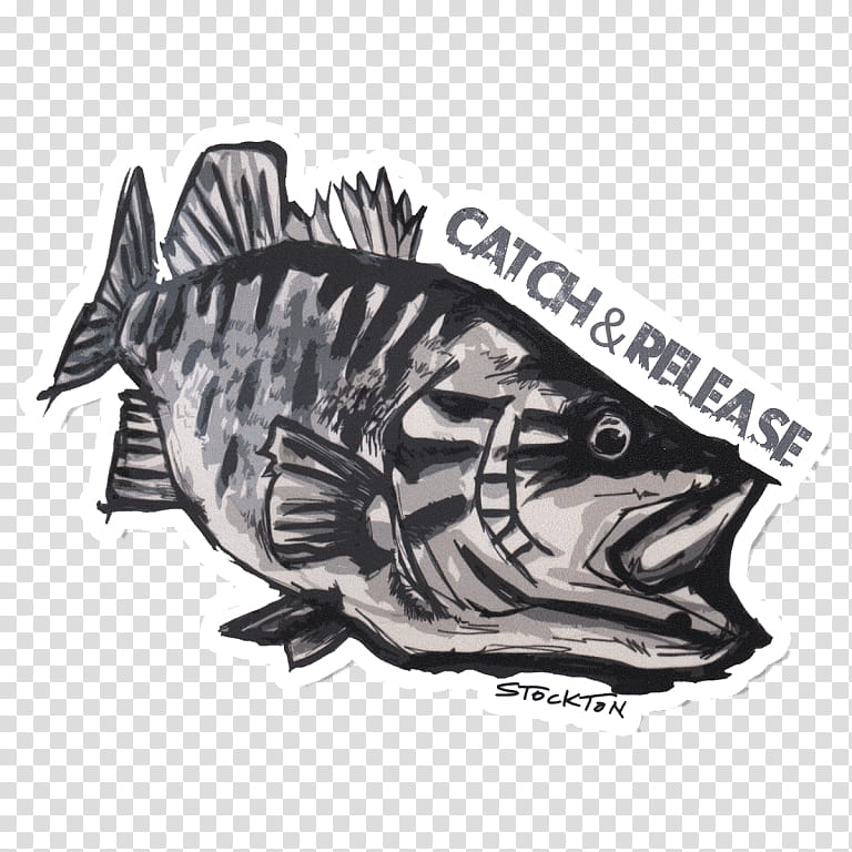 Boat, Decal, Fishing, BASS Fishing, Sticker, Smallmouth Bass, Largemouth  Bass, Fish Hook transparent background PNG clipart