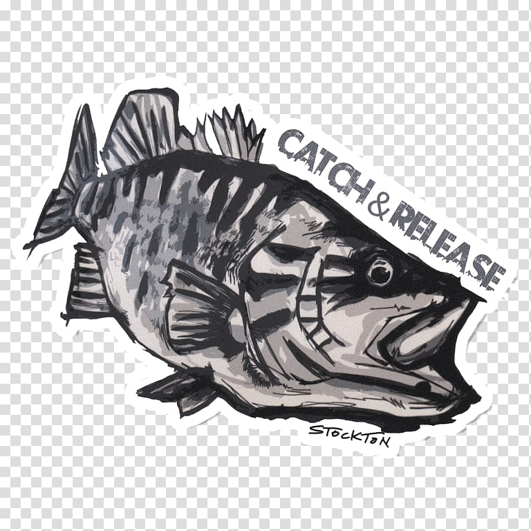 Smallmouth Bass Sticker Decal