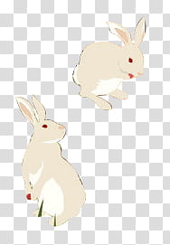 , two white rabbit artwork transparent background PNG clipart