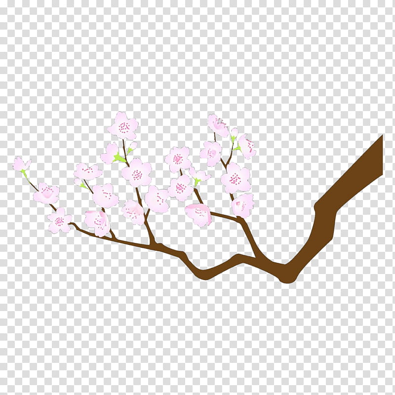 purple and white flower illustration, Cherry blossom, Branch, Flower, Plant, Twig, Pink, Magnolia, Petal, Magnolia Family transparent background PNG clipart