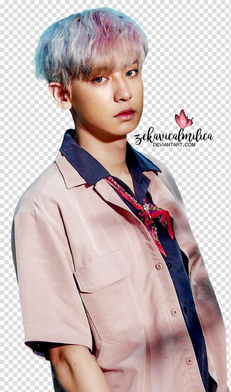 EXO Chanyeol The War transparent background PNG clipart