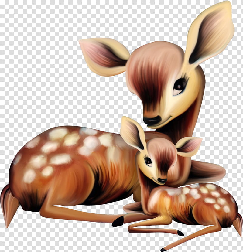 Rabbit, Deer, Whitetailed Deer, Mother, Elk, Infant, Cuteness, Animal transparent background PNG clipart