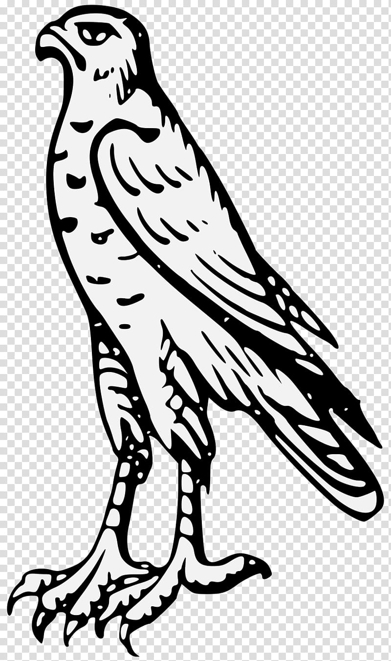 falcon clipart black and white