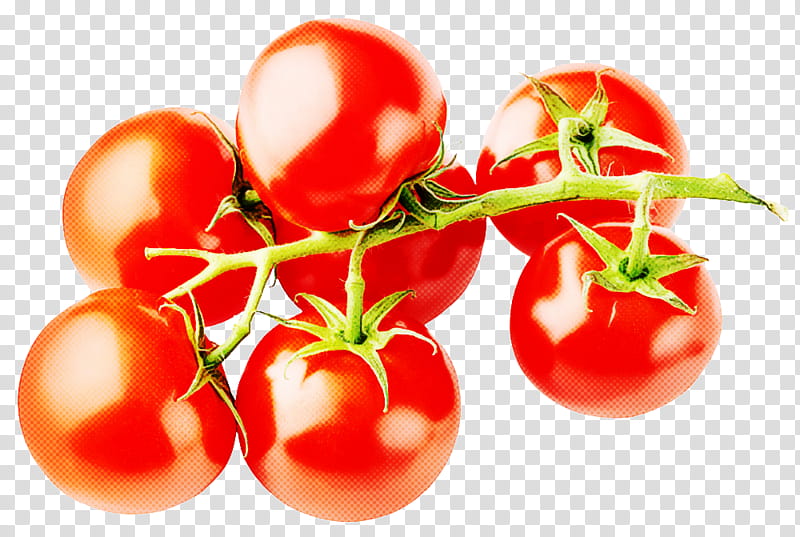 Tomato, Natural Foods, Fruit, Solanum, Vegetable, Plant, Local Food, Cherry Tomatoes transparent background PNG clipart