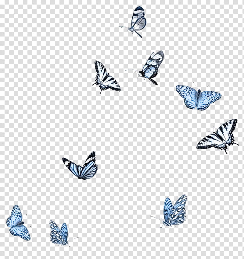 Monarch butterfly, Insect, Moths And Butterflies, Pollinator, Animal Figure, Lycaenid, Brushfooted Butterfly, Pieridae transparent background PNG clipart