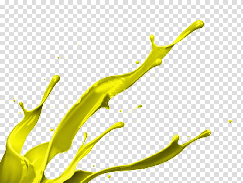 Mancha de pintura amarilla transparent background PNG clipart