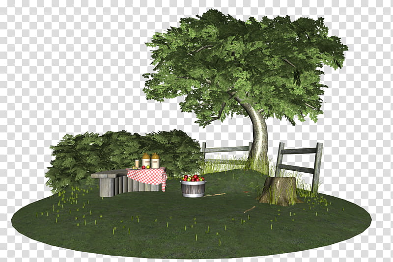 Apple Orchard , concrete bench and table under a tree transparent background PNG clipart