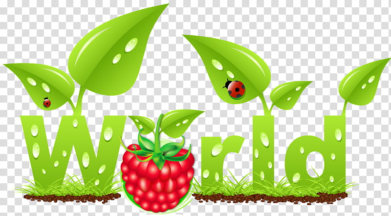 Green Leaf Logo, Food, Superfood, Diet Food, Natural Foods, Text, Vegetable, Local Food transparent background PNG clipart
