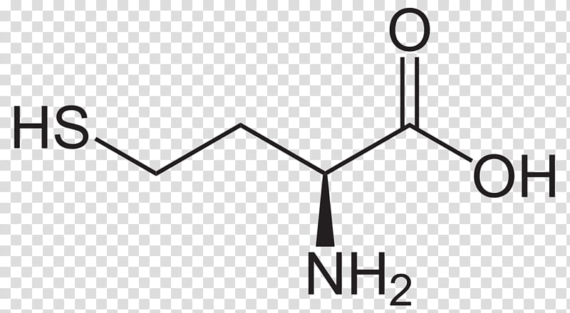 Black Triangle, Homoserine, Homocysteine, Amino Acid, Structure, Nonproteinogenic Amino Acids, Methionine, Metabolism transparent background PNG clipart