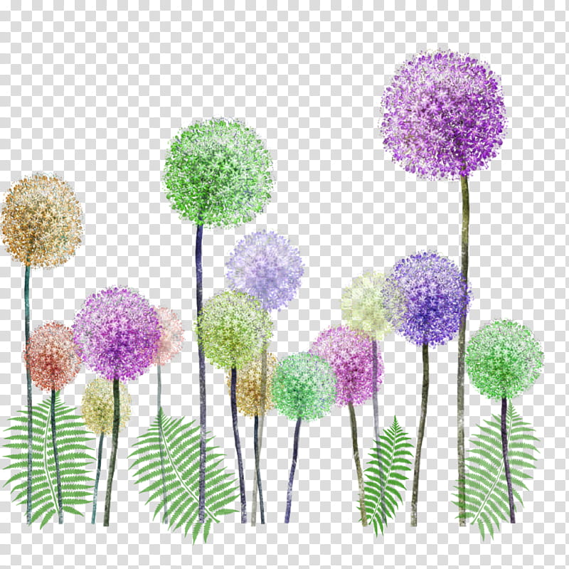 Purple Watercolor Flower, Common Dandelion, Drawing, Watercolor Painting, Blue, Petal, Plant, Allium transparent background PNG clipart