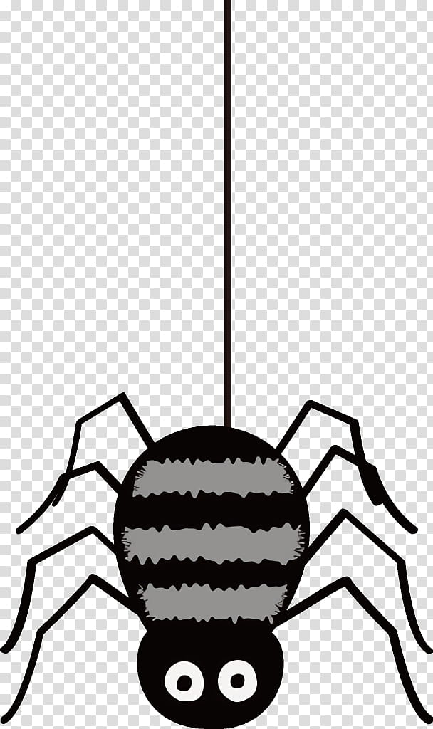 spider halloween, Halloween , Arachnid, Insect transparent background PNG clipart