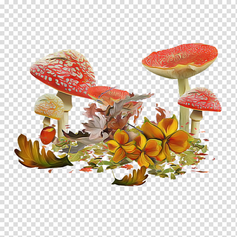 agaric mushroom leaf anthurium plant, Aquarium Decor, Medicinal Mushroom, Flower, Fungus, Perennial Plant transparent background PNG clipart