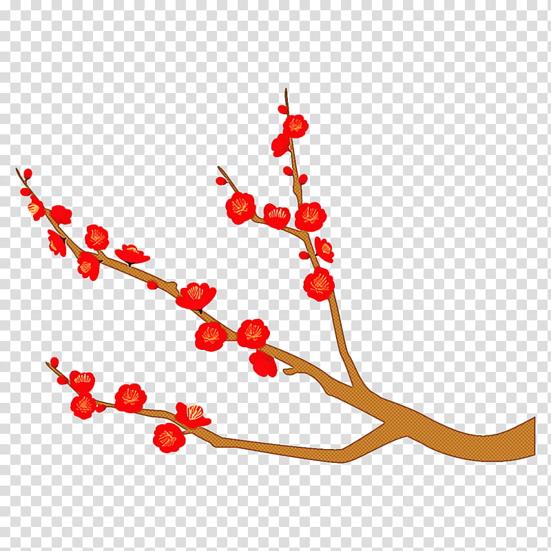 plum branch plum winter flower, Plant, Line, Twig, Holly transparent background PNG clipart