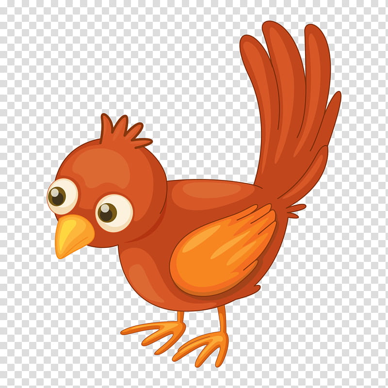 Chicken, Bird, Owl, Domestic Canary, Cartoon, Animation, Rooster, Beak transparent background PNG clipart