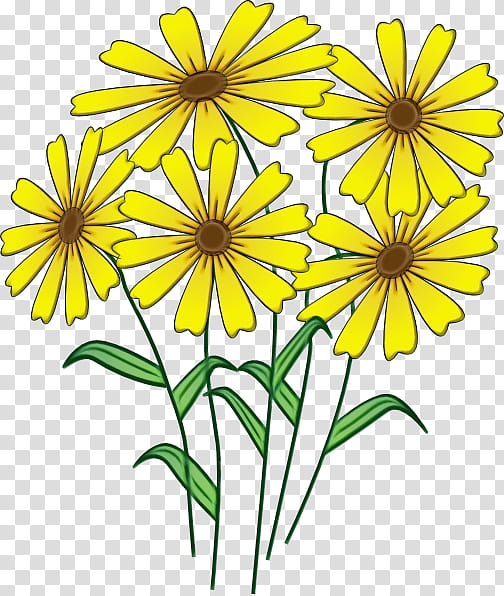 flower yellow plant flowering plant wildflower, Watercolor, Paint, Wet Ink, Chamomile, Petal, Plant Stem transparent background PNG clipart