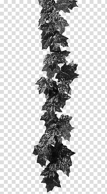 Leaves , black leaves illustration transparent background PNG clipart