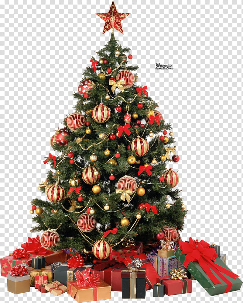 Xmas tree , green Christmas tree surrounded transparent background PNG clipart