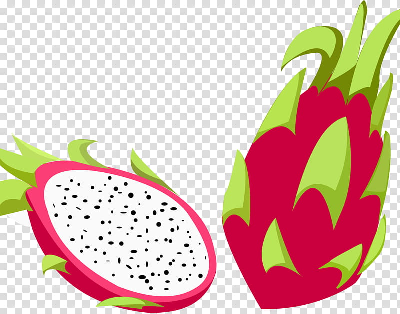 Pineapple, Fruit, Pitaya, Drawing, Plant, Ananas, Food, Natural Foods transparent background PNG clipart