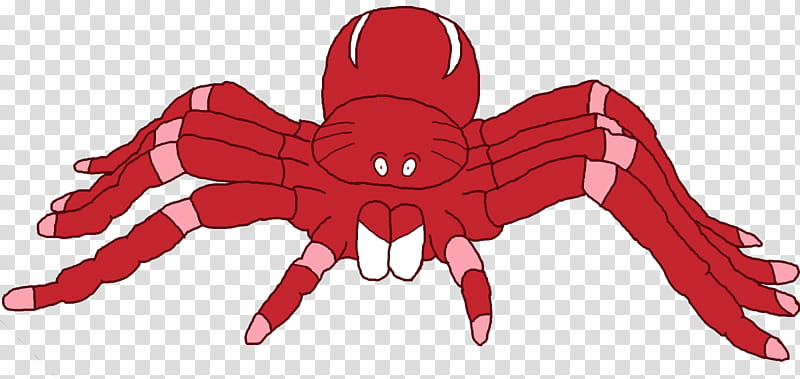 Spider, Insect, Character, Line, Decapods, Membrane, Red, Tarantula transparent background PNG clipart