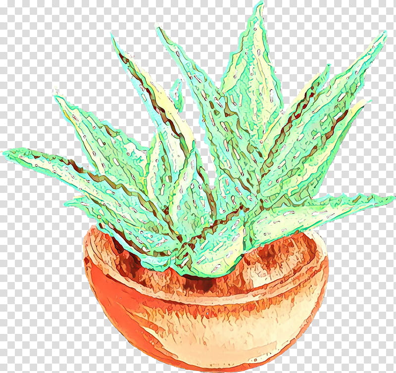 Aloe Vera Leaf, Cartoon, Flowerpot, Aloes, Houseplant, Xanthorrhoeaceae, Terrestrial Plant, Hemp Family transparent background PNG clipart