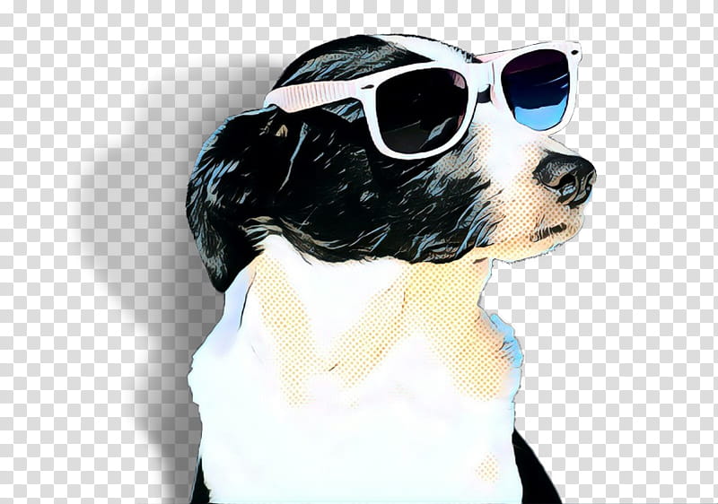 Cool Border, Puppy, Dog, Sunglasses, Companion Dog, Snout, Goggles, Breed transparent background PNG clipart
