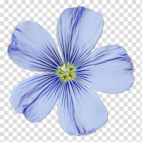 Blue Flower, Cranesbill, Crocus, Geraniums, Petal, Violet, Plant, Purple transparent background PNG clipart