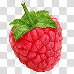 New DISCULPA, raspberry illustration transparent background PNG clipart