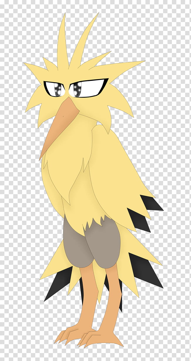 Owl, Drawing, Digital Art, Zapdos, Fan Art, Artist, Beak, 2018 transparent background PNG clipart