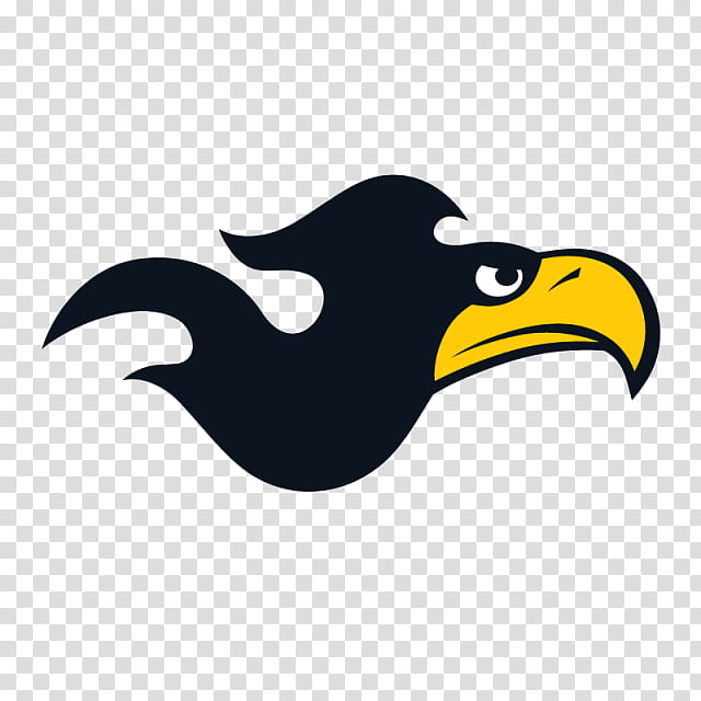 Fire Bird, Bald Eagle, Logo, Hawk, Flame, Beak, Bird Of Prey, Wing transparent background PNG clipart