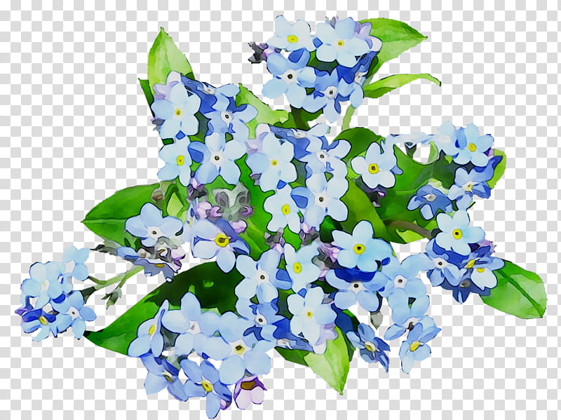 Flowers, Scorpion Grasses, Floral Design, Cut Flowers, Larkspur, Bluebonnet, Alpine Forgetmenot, Plant transparent background PNG clipart