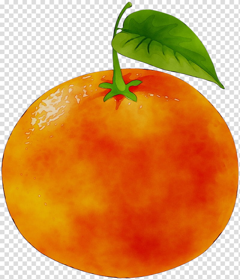 Apple Tree, Tangerine, Mandarin Orange, Grapefruit, Food, Vegetable, Natural Foods, Local Food transparent background PNG clipart