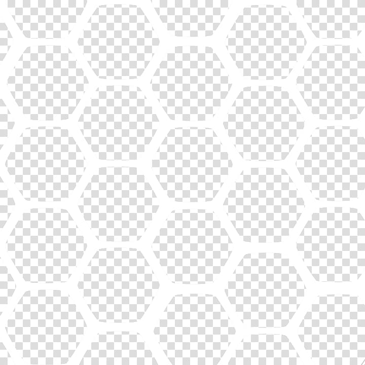 turtle shell pattern transparent background PNG clipart