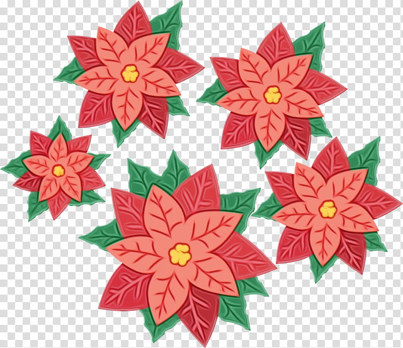 Christmas Poinsettia, Christmas Day, Christmas Market, Plants, Flower, Leaf, Paper, Petal transparent background PNG clipart