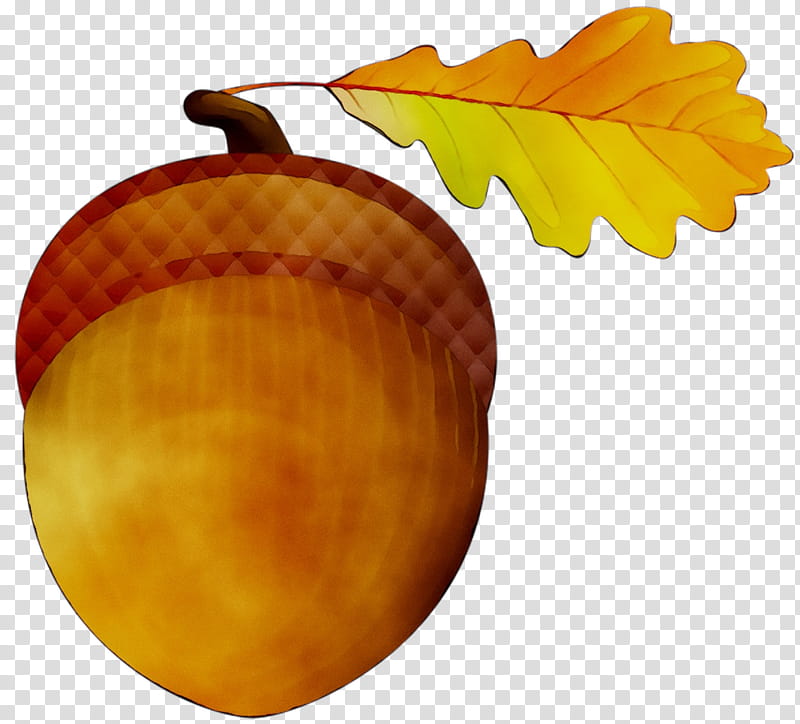 Autumn Winter, Calabaza, Winter Squash, Gourd, Orange Sa, Leaf, Tree, Acorn transparent background PNG clipart