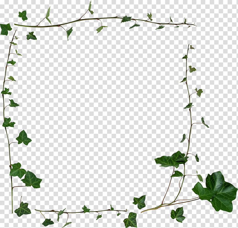 Floral Border Frame, BORDERS AND FRAMES, Drawing, Vine, Flower, Leaf, Green, Branch transparent background PNG clipart