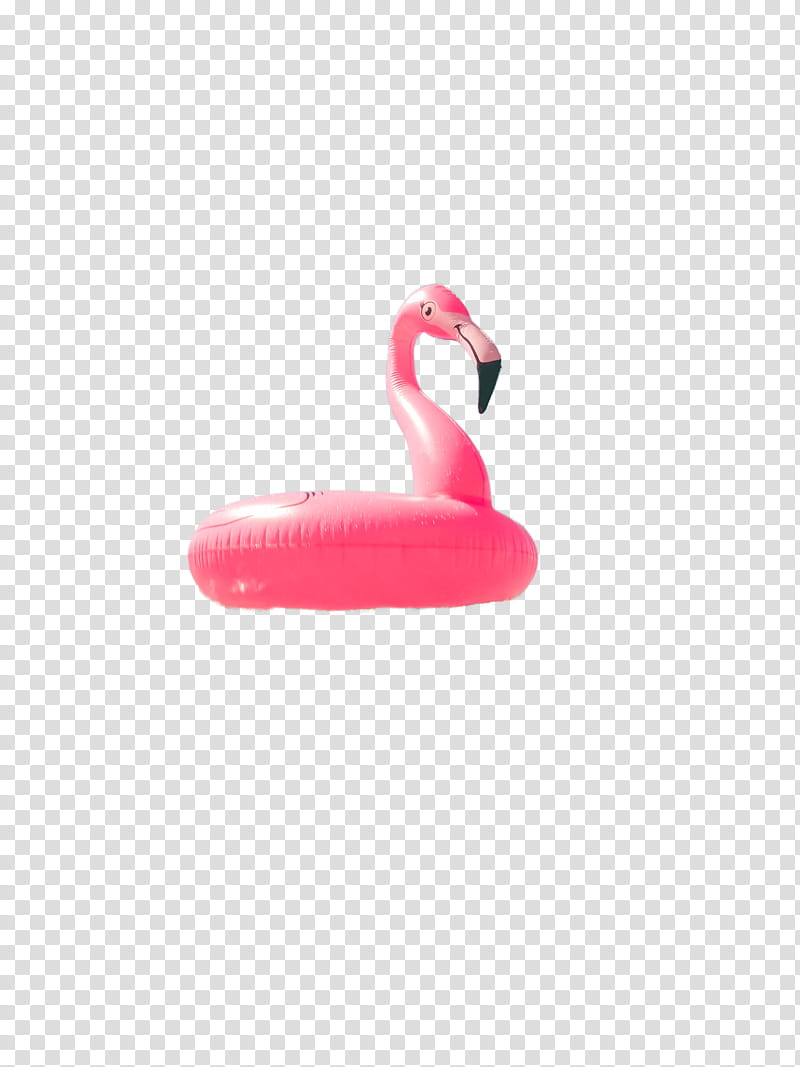 , pink flamingo buoy transparent background PNG clipart