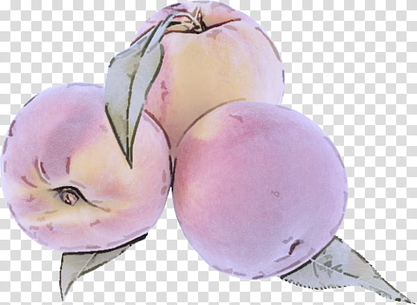 european plum turnip watercolor paint plant vegetable, Food, Fruit, Flower transparent background PNG clipart