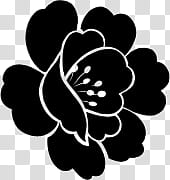 Flower  PS Brushes, black flower illustration transparent background PNG clipart