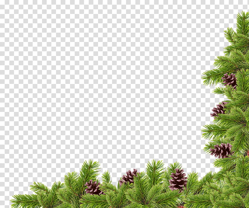 Christmas corners, green-leafed tree transparent background PNG clipart