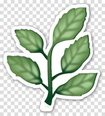 EMOJI STICKER , green leaf plant art transparent background PNG clipart