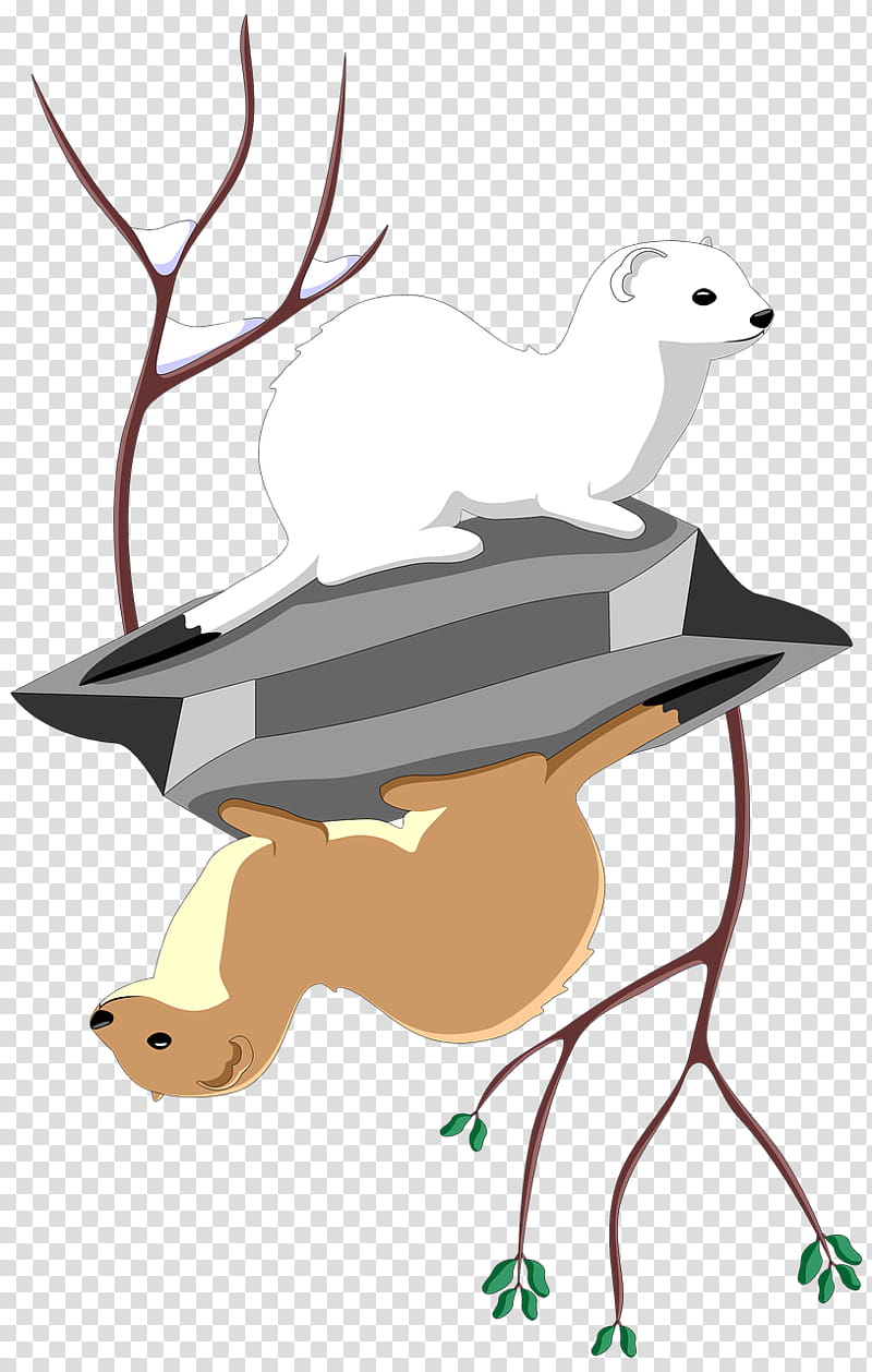 Cartoon Nature, Stoat, Least Weasel, Trentino, Animal, February, Silhouette, Longtailed Weasel transparent background PNG clipart