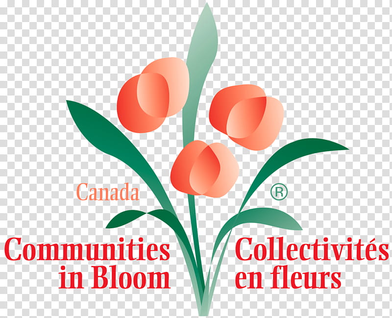 Flowers, Logo, Fort Erie, Community, Floral Design, BMP File Format, Canada, Text transparent background PNG clipart