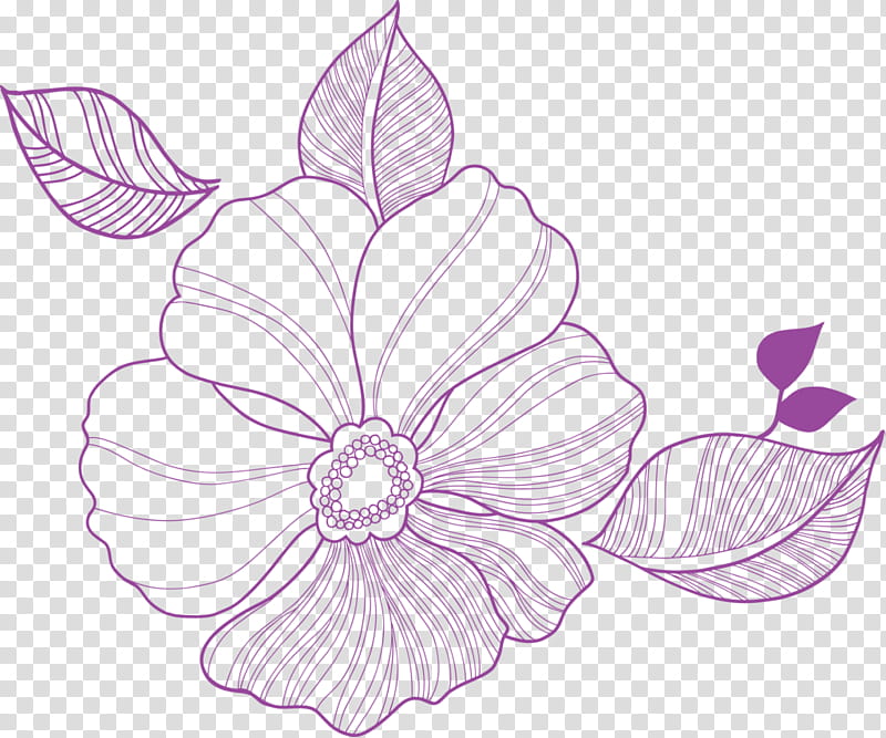 Drawing Of Family, Flower, Floral Design, Plants, Sepal, Bract, Petal, Violet transparent background PNG clipart